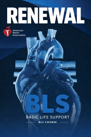 BLS FOR HEALTHCARE PROVIDERS RENEWAL